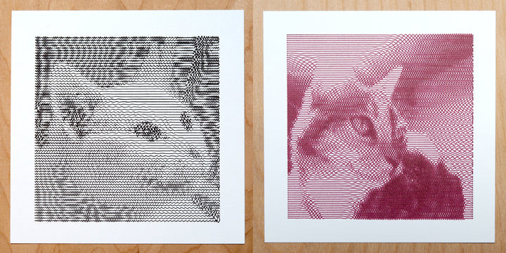 Pet Portrait Art - Experimenting with the SquiggleCam App
